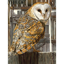 3D Square/Round Drill,5D DIY Diamond Painting "Beautiful Grey Owl" Diamond Embroidery Cross Stitch Rhinestone Decoration GT 2024 - buy cheap