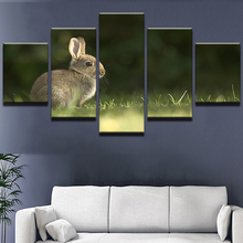 Modern Home Decor Living Room Canvas 5 Panel Lovely Rabbit Animal Framework Wall Art Poster HD Print Painting Modular Pictures 2024 - buy cheap