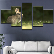 Decoração da casa moderna sala de estar 5 painel adorável coelho animal quadro arte da parede poster hd impressão pintura modular imagens 2024 - compre barato