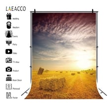 Laeacco Haystack Bale Field Personalized Portrait Scenery Canvas Photography Backgrounds Photographic Backdrops For Photo Studio 2024 - buy cheap