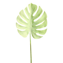 Пластиковые искусственные цветы Флорес монстера пальмовый папоротник искусственные цветы для Декоративные искусственные цветы для домашнего декора листья 2024 - купить недорого
