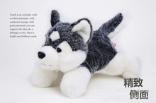 small plush Husky dog toy high quality husky lying dog doll gray cute dog toy about 25cm 0467 2024 - buy cheap