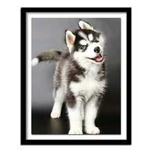 Pintura de diamante 5d Diy, bordado de Husky, perro, animales, imágenes 3d de diamantes de imitación, kits de punto de cruz 2024 - compra barato