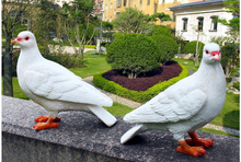 Resin white doves Statue home garden Figurine Model home decor ornament creative gifts pigeon simulation handicrafts 2024 - buy cheap