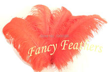 EMS Free Shipping! 50pcs/lot 60-65cm 24-26" Top quality Red ostrich feathers ostrich plumages plumes 2024 - buy cheap