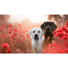 Full Square Drill 5D DIY White and black Great Dane dogs red poppies diamond painting Cross Stitch 3D Embroidery Kits  H79 2024 - buy cheap