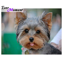 Ever moment pintura de diamante diy ponto cruz cachorro animal completo strass quadrados hobby diversão artesanato pintura de parede asf975 2024 - compre barato