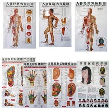 7 pcs clear body chart internal organs Chinese meridian acupuncture teaching  health care wall chart 2024 - buy cheap