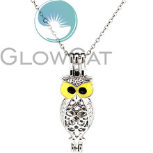Colors Enamel Owl Beads Cage Locket Pendant Perfume Essential Oil Diffuser Pearl Cage Necklace KK998 2024 - buy cheap