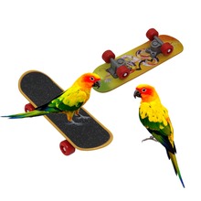 1 Pcs Bird Parrot Intelligence Toys Mini Training Skateboard For Budgies Parakeet Growth Toy Pet Toy 2024 - купить недорого