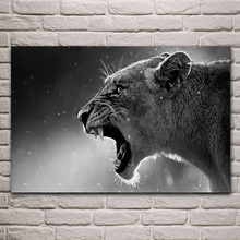 Cool lion lioness portrait monochrome Predator animal fabric posters on the wall picture home art living room decoration KB274 2024 - buy cheap