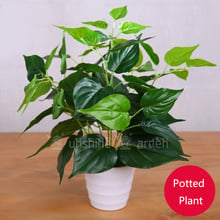 DIY Home Decor High Quality Artificial Potted Plant Lifelike Green Leaves Flowers Wedding Bouquets Office Decoration 2024 - buy cheap