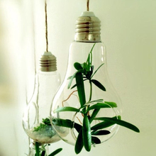 New Glass Bulb Lamp Shape Flower Water Plant Hanging Vase Container Pot Indoor Office Wedding Decor 2024 - buy cheap