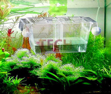 Betta Fish Tank Aquarium DurableFish Breeding Boxes Double Hatching Incubator Isolation Acrylic Mini Aquarium Tanks Durable 2024 - buy cheap