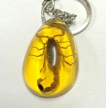12 Keychain Vintage NEW Real Chinese Gold Scorpion Yellow Color Jewelry 2024 - buy cheap