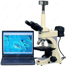 Infinity Plan Metallurgical Microscope--AmScope Supplies 40X-800X Infinity Plan Metallurgical Microscope + 10MP Digital Camera 2024 - buy cheap