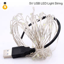 led string lights 10M 33ft 100led 5V USB powered outdoor lighting RGB copper wire christmas festival wedding party decoration 2024 - buy cheap