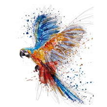 5D алмазная картина птица Diy Ремесленная поделка, алмазная вышивка мозаика художественный Декор для дома 2024 - купить недорого