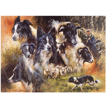 Quadrado completo/broca redonda mosaico fronteira collie 5d diy pintura diamante animal de estimação cão bordado strass decoração casa arte yg487 2024 - compre barato