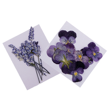 22x Pressed Dried Flowers Real Violet Sage DIY Art Crafts Scrapbooking for Handmade Bookmarks Album Frame Decor 2024 - buy cheap