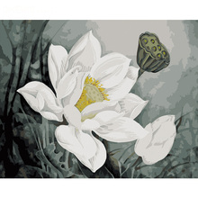 White Lotus Pure Flower 40x50CM DIY Digital Painting By Numbers Modern Wall Art Canvas Painting Unique Gift Home Decor 40x50cm 2024 - buy cheap