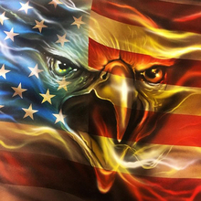 5D DIY Diamond Paintings Full Round Animals Eagle Flag Mosaic Art Cross Stitch Crystal Kit Embroidery Stickers Decoration Home 2024 - buy cheap