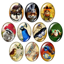 Animais adoráveis cavalo gato cachorro pássaro 13x1 8mm/18x2 5mm/30x40mm mistura oval foto de vidro cabochão demonstração fundo plano joias tb0059 2024 - compre barato