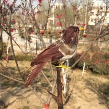 Simulação de pássaro 13cm de penas coloridas, modelo artístico artesanal para casa presente de brinquedo de decoração w5517 2024 - compre barato