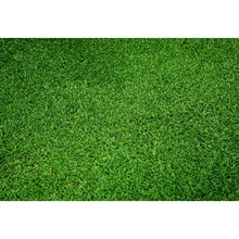 Vinyl Photography Background Football Field Green Grass Fotocall Children Backgrounds for Photo Studio G-285 2024 - buy cheap