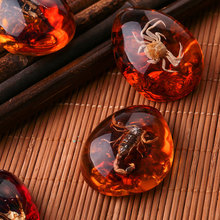 Fashion Resin Insects Pendant Insects Stone Amber Pendant Gemstone Home Decor Decoration Craft Gift Gemstone Necklace Collection 2024 - buy cheap