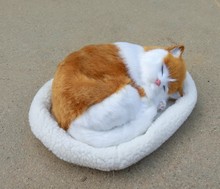 Simulação bonito respiração dormir polietileno & peles de gato gato 26x17 cm modelo modelo de decoração para casa adereços, modelo presente d352 2024 - compre barato