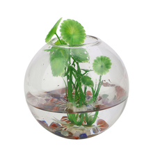 1PC 7*8CM High Borosilicate Glass White Transparent Glass Wall Hanging Flower Pot Glass Ball Vase Container Home Garden Decor 2024 - buy cheap