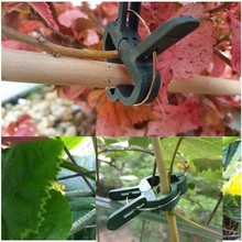 20pcs 2 Sizes plant flower garden clips tomato trellis Plastic Grafting Clips Supporting Plant Stems Grow Upright garden tools 2024 - buy cheap