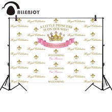Allenjoy-Fondo de fotografía de princesa, corona dorada, pancarta rosa, fondo personalizado para baby shower, photocall, photobooth, paso y repetición 2024 - compra barato