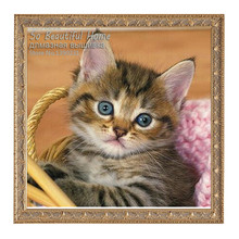 Pintura de diamante 5D diy de Animal, bordado de punto de cruz completo cuadrado, Gato samll SH61279 2024 - compra barato