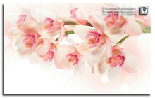 Iris Diy pintura cheia de diamantes bordados de flores de Strass rosa floral patchwork Mosaico imagem hobby Artesanato decoração da Casa 2024 - compre barato
