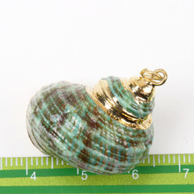 natural Spiral Shell Charm Pendants Conch At Random Glod plated for jewelry making Diy 25mm 2pcs 2024 - buy cheap