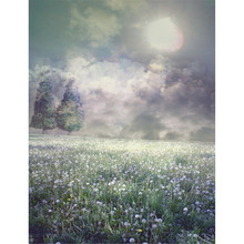 Full Moon Night Photography Backdrop Dark Sky Thick Clouds Trees Fantasy Dandelion Flower Filed Children Girls Photo Backgrounds 2024 - buy cheap