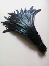 New! Wholesale high quality 50 pc black rooster feathers, 12-14 "/ 30-35CM DIY jewelry decoration, art props accessories 2024 - buy cheap