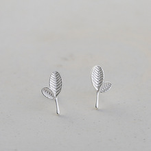 925 Sterling Silver Small Leaves Stud Earrings For Women Fashion Style Girl Hypoallergenic Jewelry 2024 - buy cheap