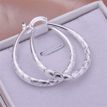 925 Jewelry Silver Color Wholesale Free Shipping Earrings For Women /akoajbva Aknajbua LQ-E295 2024 - buy cheap