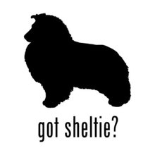 12,5 см * 15 см с изображением животных собаки-тцу получили напоминание виниловые наклейки окна C5-0480 2024 - купить недорого