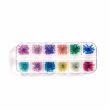 12 Colors/Box DIY Dry Flowers Nail Art Decoration Sticker Tips 3D Flower Petal Natural Floral Nail Art Tips Decoration 2024 - buy cheap