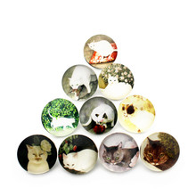 New Arrived Mixs 10pcs/lot Flower Cat Animal Glass Printing Snap Button Chams Fit 18mm/20mm Snap Bracelet Bangles DIY Jewelry 2024 - buy cheap