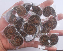 pair Natural AMMONITE FOSSIL beads Pendants 2024 - buy cheap