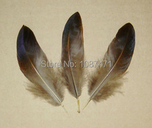 AA 50pcs 4-8cm real natural rare glitter pheasant feather plume for headwear hair accessories craft bulk sale 2024 - buy cheap