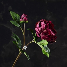 Искусственные пионы серии Wyman, 6 шт., 55 см, высококачественный Европейский цветок, оптовая продажа, украшение для свадебной церемонии, вечеринки 2024 - купить недорого