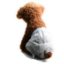 10PCS/Bag Pet Diapers Female Dog Disposable Leakproof Nappies Puppy cat Super Absorption Physiological Pants Menstrual safety 2024 - buy cheap