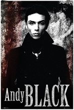 Home Decor Andy Black - Music-Silk Art Poster Wall Sicker Decoration Gift 2024 - buy cheap