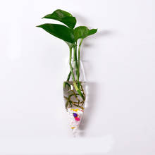 SOLEDI 12 см Террариум гидропонное растение Ледяной Конус вазы винтажный цветочный горшок прозрачная настенная ваза стеклянные растения домашний декор бонсай 2024 - купить недорого